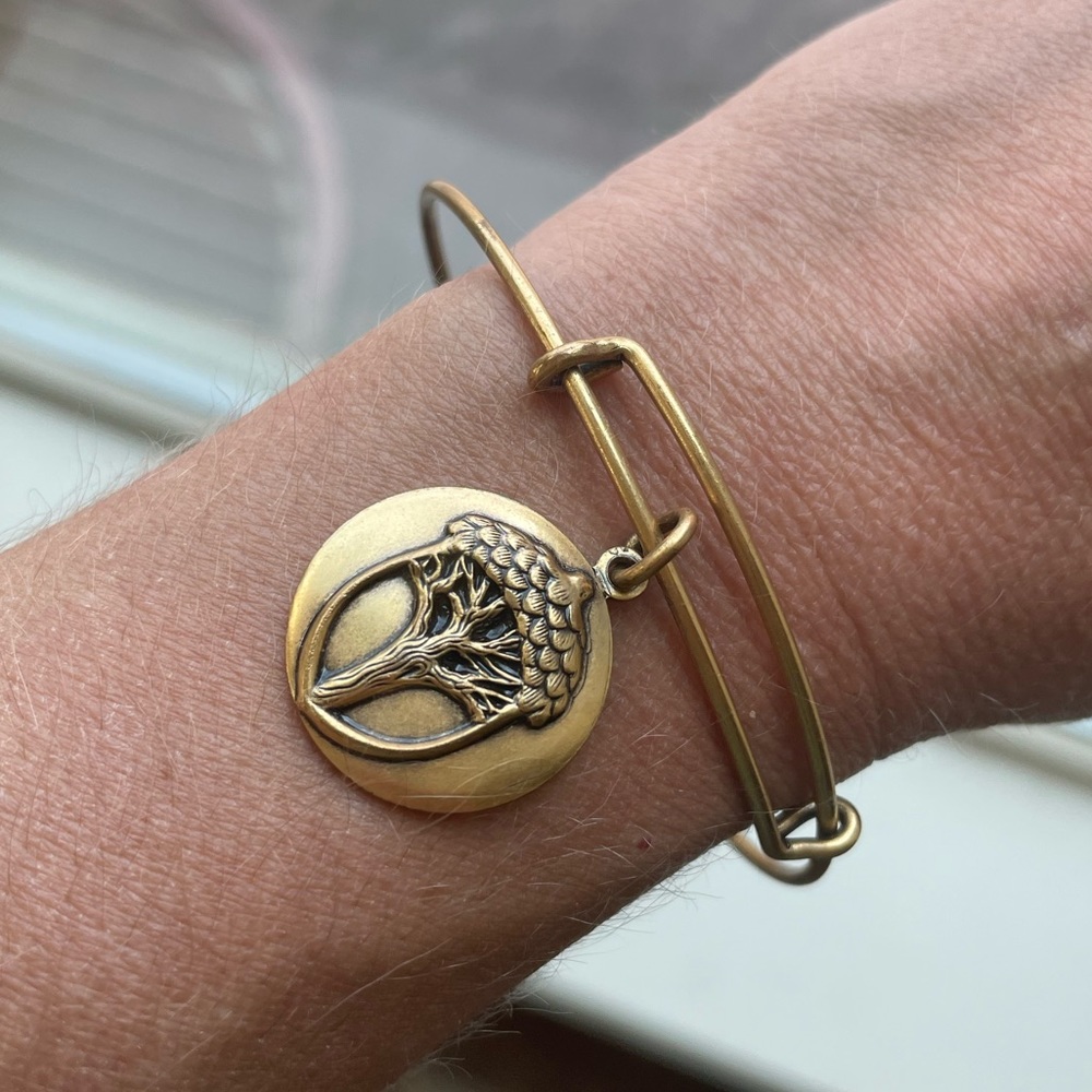 Alex + Ani bracelet gold matte, acorn, unexpected miracles serendipity